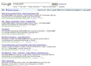 Cosee-Suche bei Google